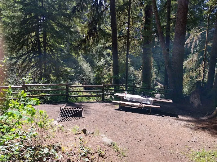 Gnat Creek Campground Picture 5