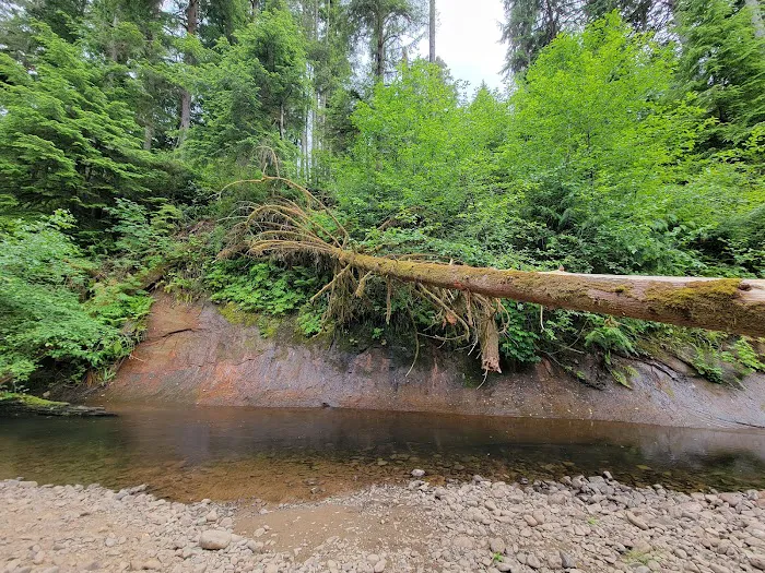 Gnat Creek Campground Picture 6