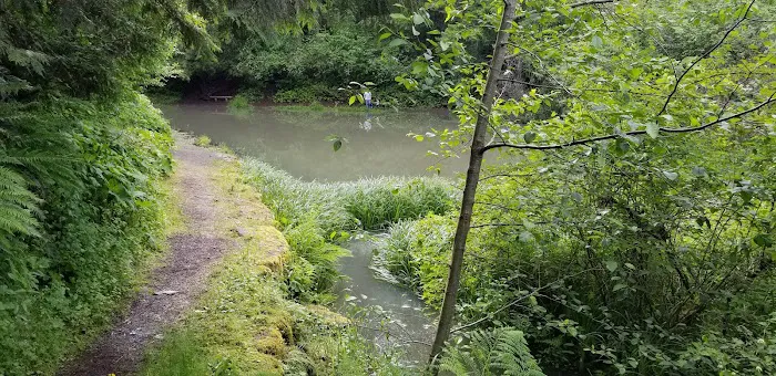 Promontory Park Campground Picture 6