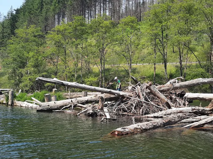 Promontory Park Campground Picture 4