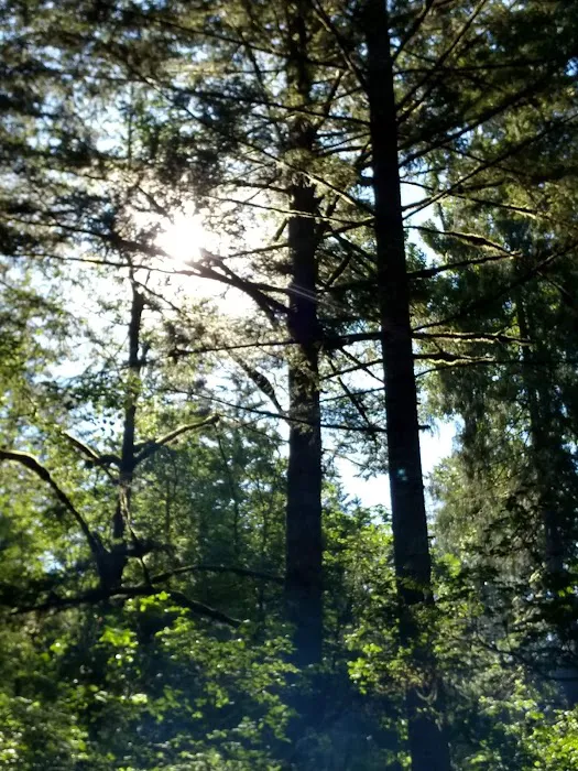 Lazy Bend Campground Picture 7