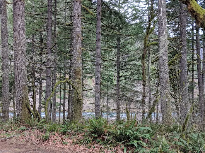 Lazy Bend Campground Picture 9
