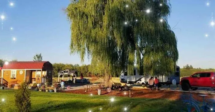 Miranda's Farm and recreation Picture 4