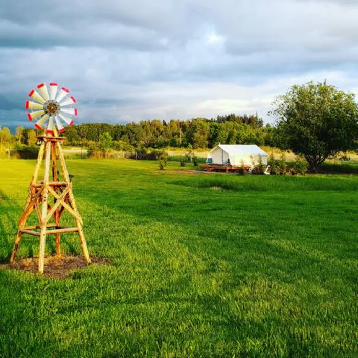 Miranda's Farm and recreation Picture 8
