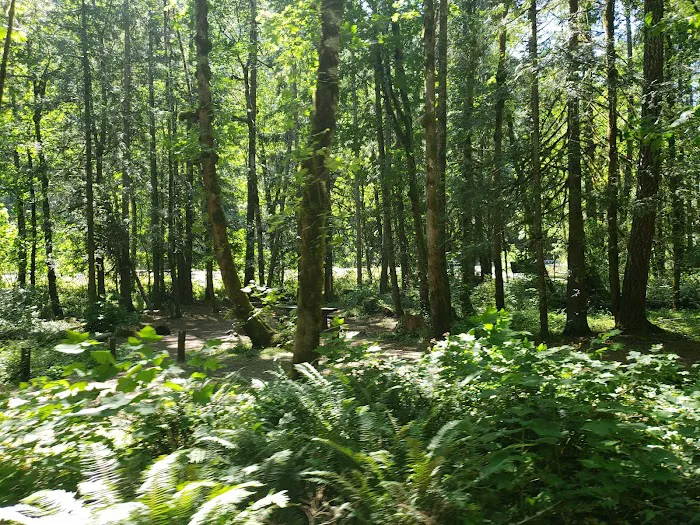 Carter Bridge Campground Picture 7