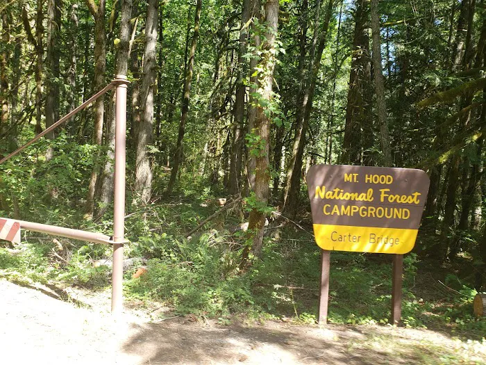 Carter Bridge Campground Picture 3