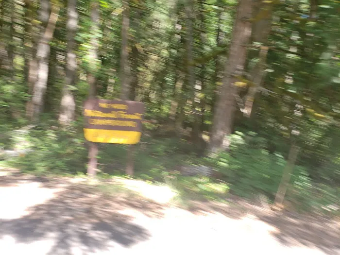 Carter Bridge Campground Picture 4