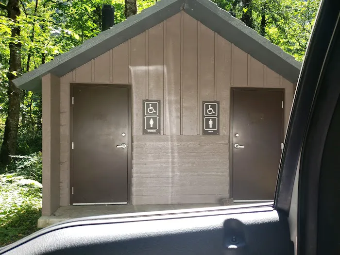 Carter Bridge Campground Picture 5