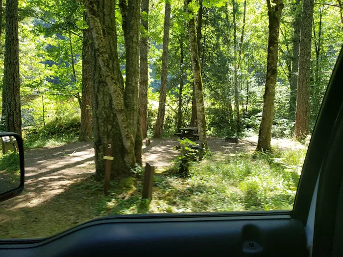 Carter Bridge Campground Picture 9