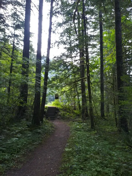 Carter Bridge Campground Picture 10