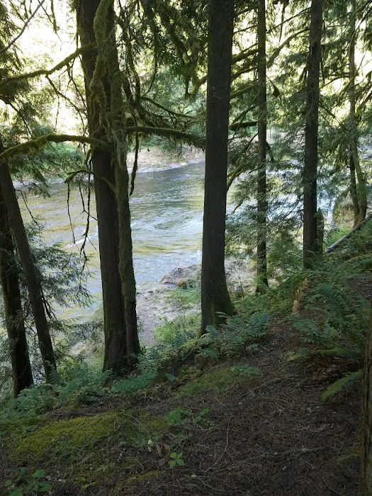 Lockaby Campground Picture 8