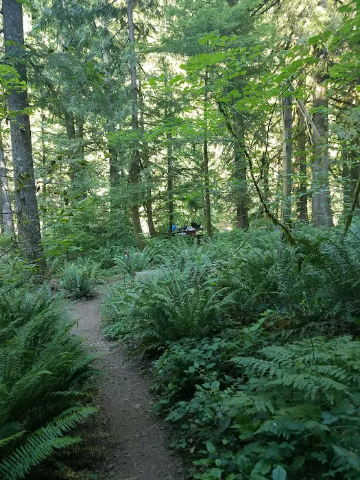 Lockaby Campground Picture 9