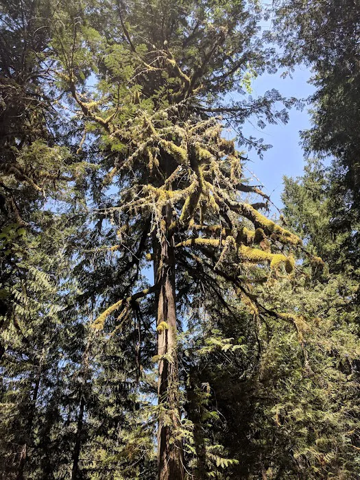 Fish Creek Campground Picture 1