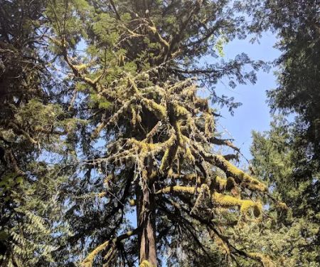 Fish Creek Campground