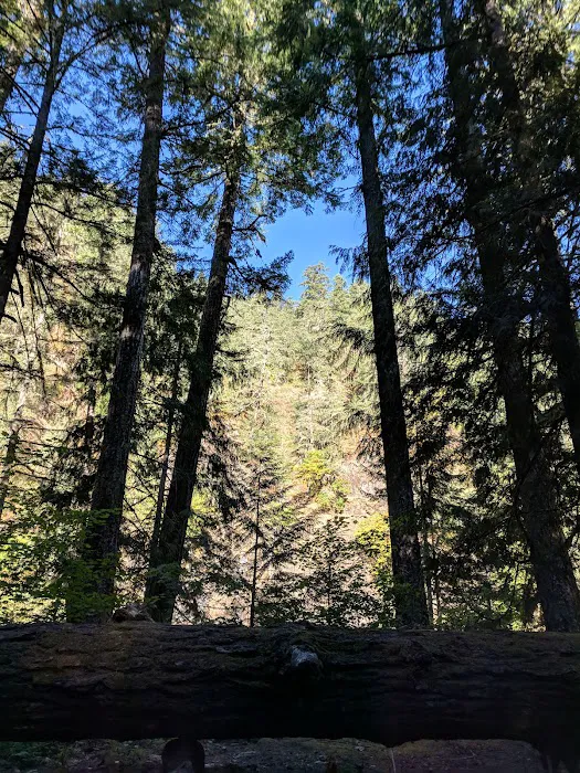Fish Creek Campground Picture 10