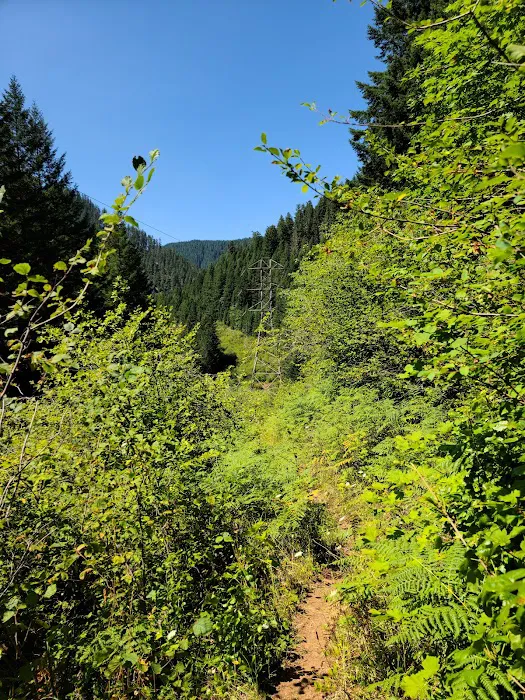 Roaring River Campground Picture 4