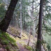 Roaring River Campground ico