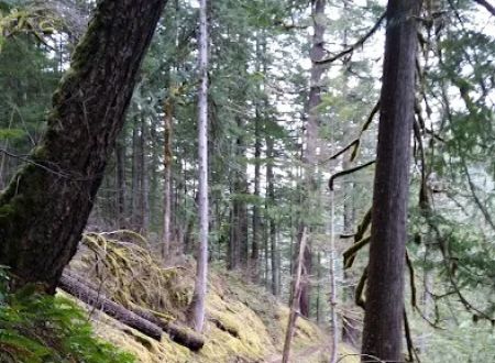 Roaring River Campground