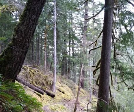 Roaring River Campground