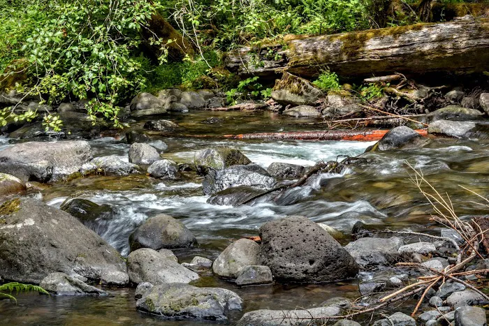 Roaring River Campground Picture 8