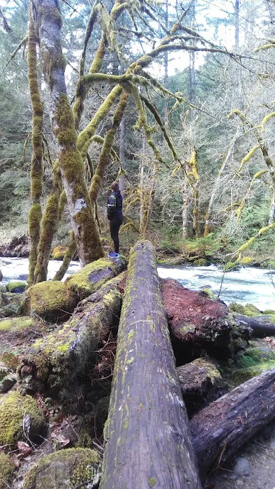 Roaring River Campground Picture 9