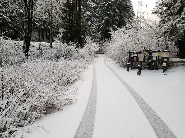 Sunstrip Campground Picture 5