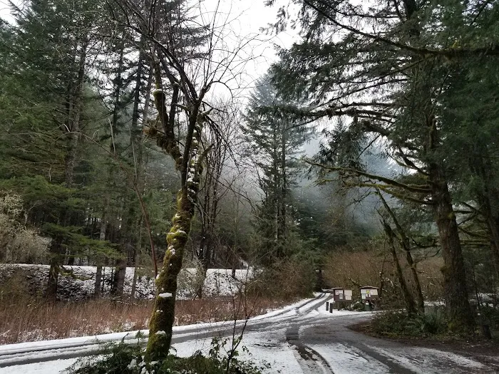 Sunstrip Campground Picture 8