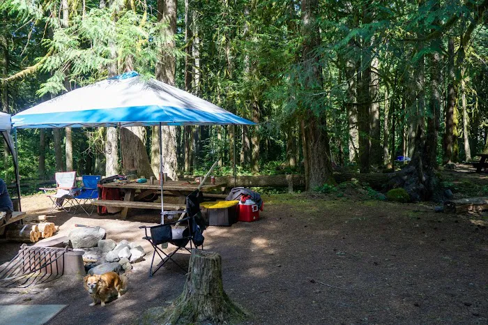 Tollgate Campground/Day Use Area Picture 9