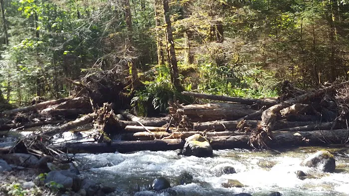 Camp Creek Campground Picture 2
