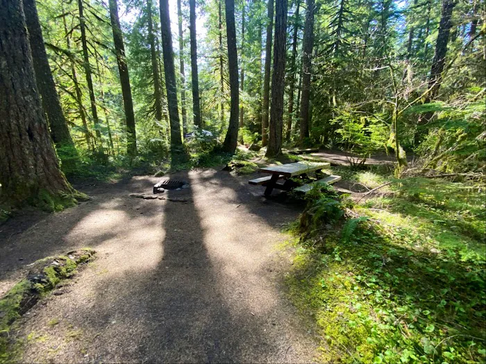 Camp Creek Campground Picture 6