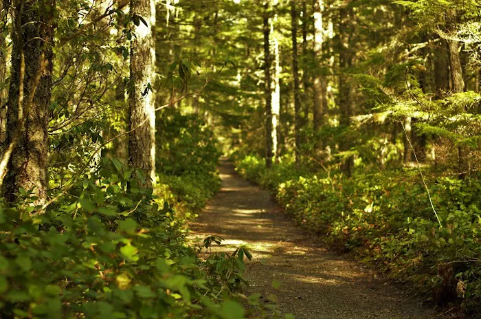 Camp Creek Campground Picture 8