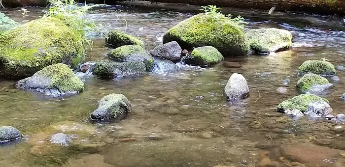 Camp Creek Campground Picture 10