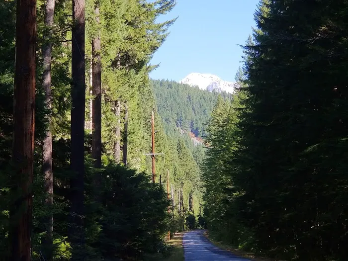 Paradise Trail Christian Camp Picture 4