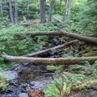 Goat Creek Campground ico