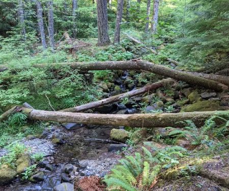 Goat Creek Campground