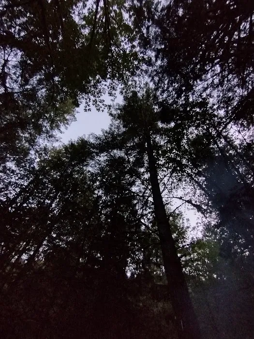 Cedar Grove Campgrounds Picture 6