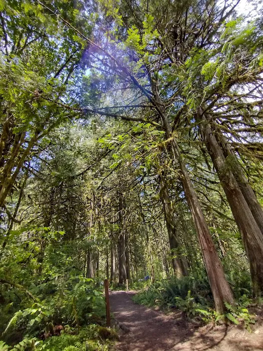 Cedar Grove Campgrounds Picture 10