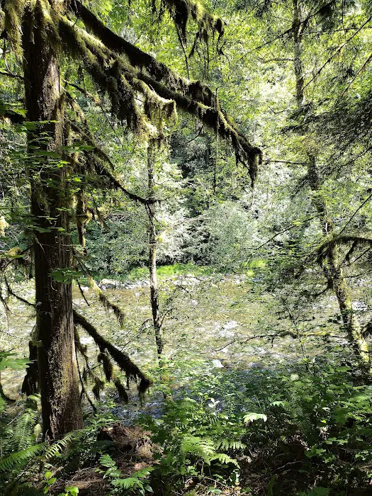 Cedar Grove Campgrounds Picture 8