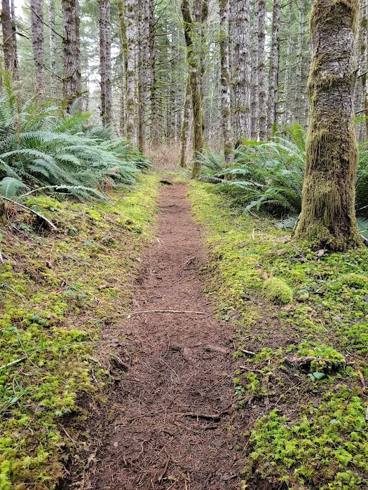 Jones Creek Campground Picture 8