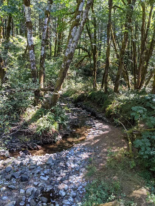 Jones Creek Campground Picture 6