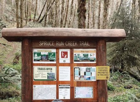 Henry Rierson Spruce Run Campground