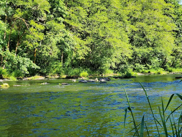 Henry Rierson Spruce Run Campground Picture 4