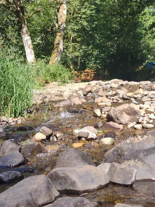 Henry Rierson Spruce Run Campground Picture 6