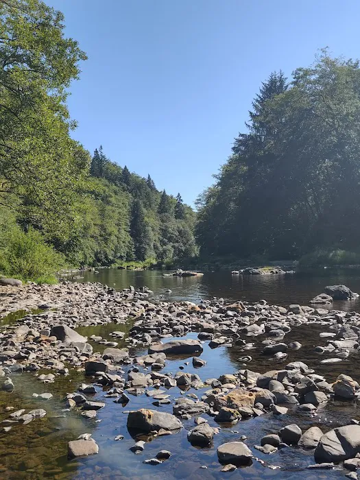 Henry Rierson Spruce Run Campground Picture 5