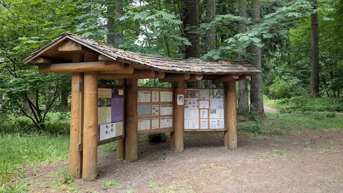 Henry Rierson Spruce Run Campground Picture 3