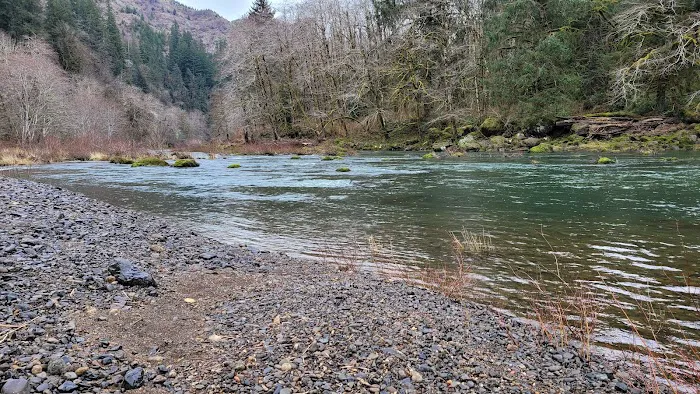 Beaver Eddy Campground Picture 7
