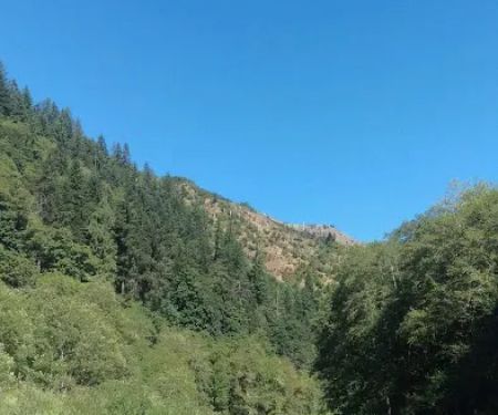 Beaver Eddy Campground