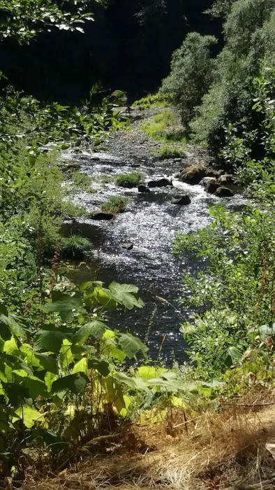Beaver Eddy Campground Picture 3