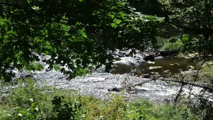 Beaver Eddy Campground Picture 9