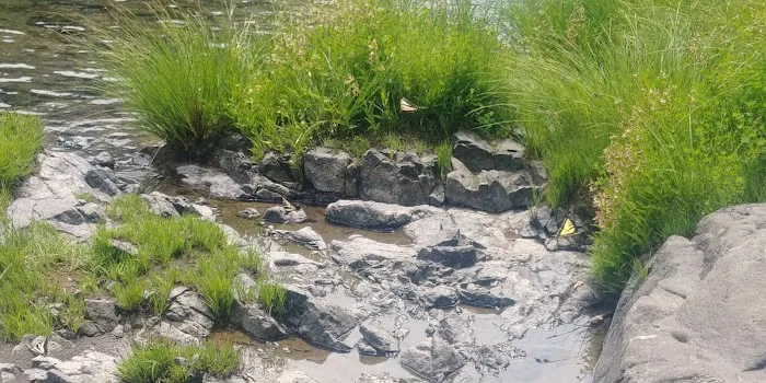 Keenig Creek Campground Picture 5
